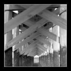 Click to enter gallery